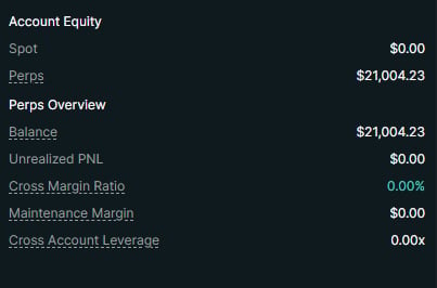 Account Equity financial summary showing Spot, Perps, Balance, Unrealized PNL, Cross Margin Ratio, Maintenance Margin, and Cross Account Leverage values