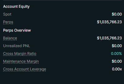 Account Equity summary showing spot price of $0.00, perps balance of $1,035,766.23, and related trading metrics