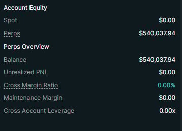 Account equity details showing spot value of $0.00, perps balance of $540,037.94, and cross margin ratio of 0.00x