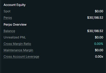 Account Equity summary showing Spot $0.00, Perps $30,198.52, Balance $30,198.52, Unrealized PNL $0.00, and related margin metrics