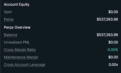 Account Equity summary showing spot value at $0.00, perps at $537,393.96, and maintenance margin at 0.00x