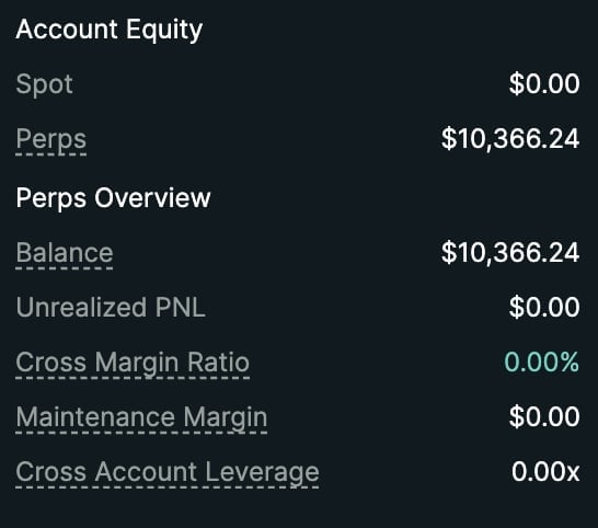 Account Equity financial summary showing Spot and Perps balances, with Cross Margin Ratio and Leverage metrics
