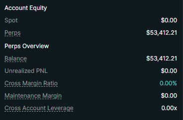 Account Equity dashboard showing spot balance of $0.00, perpetuals balance of $53,412.21, and cross margin ratio of 0.00%