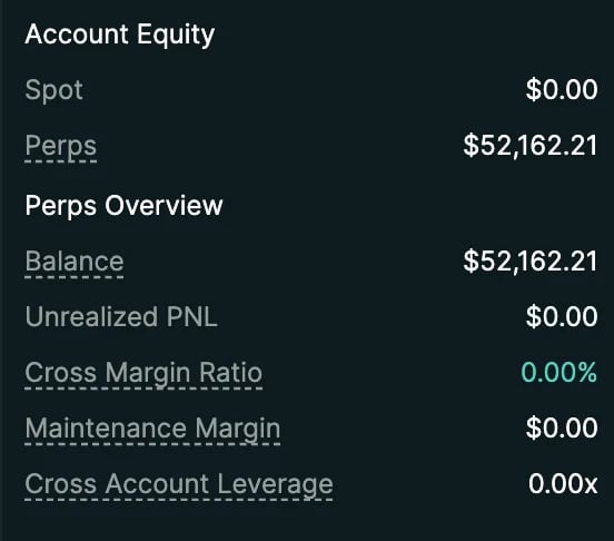 Account Equity statement showing Spot at $0.00, Perps at $52,162.21, Balance at $52,162.21, and various margin and leverage metrics at zero.