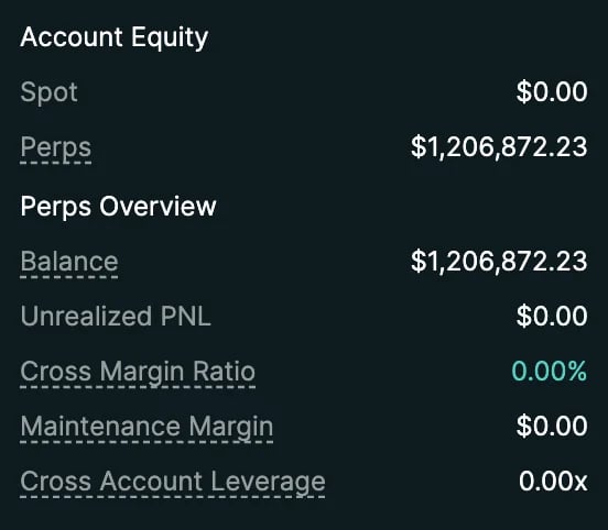 Account Equity summary showing Spot $0.00, Perps $1,206,872.23 with balance and margin details