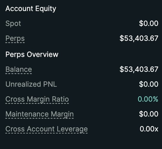 Account Equity dashboard showing spot $0.00, perps $53,403.67, balance $53,403.67, unrealized PNL $0.00, cross margin ratio 0.00%, maintenance margin $0.00, and cross account leverage 0.00x