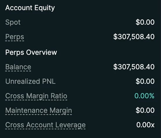 Account equity summary showing $307,508.40 in perps balance with zero spot value and 0% cross margin ratio