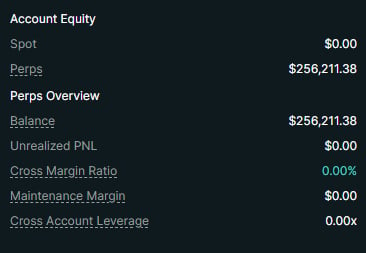 Account Equity dashboard showing spot balance of $0.00, perpetuals of $256,211.38, cross margin ratio of 0.00%, and maintenance margin of $0.00